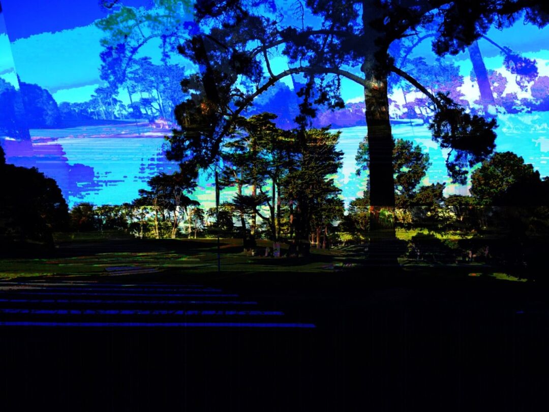 d3274a41-f08d-4679-a041-ac2888bb2ea3.jpg